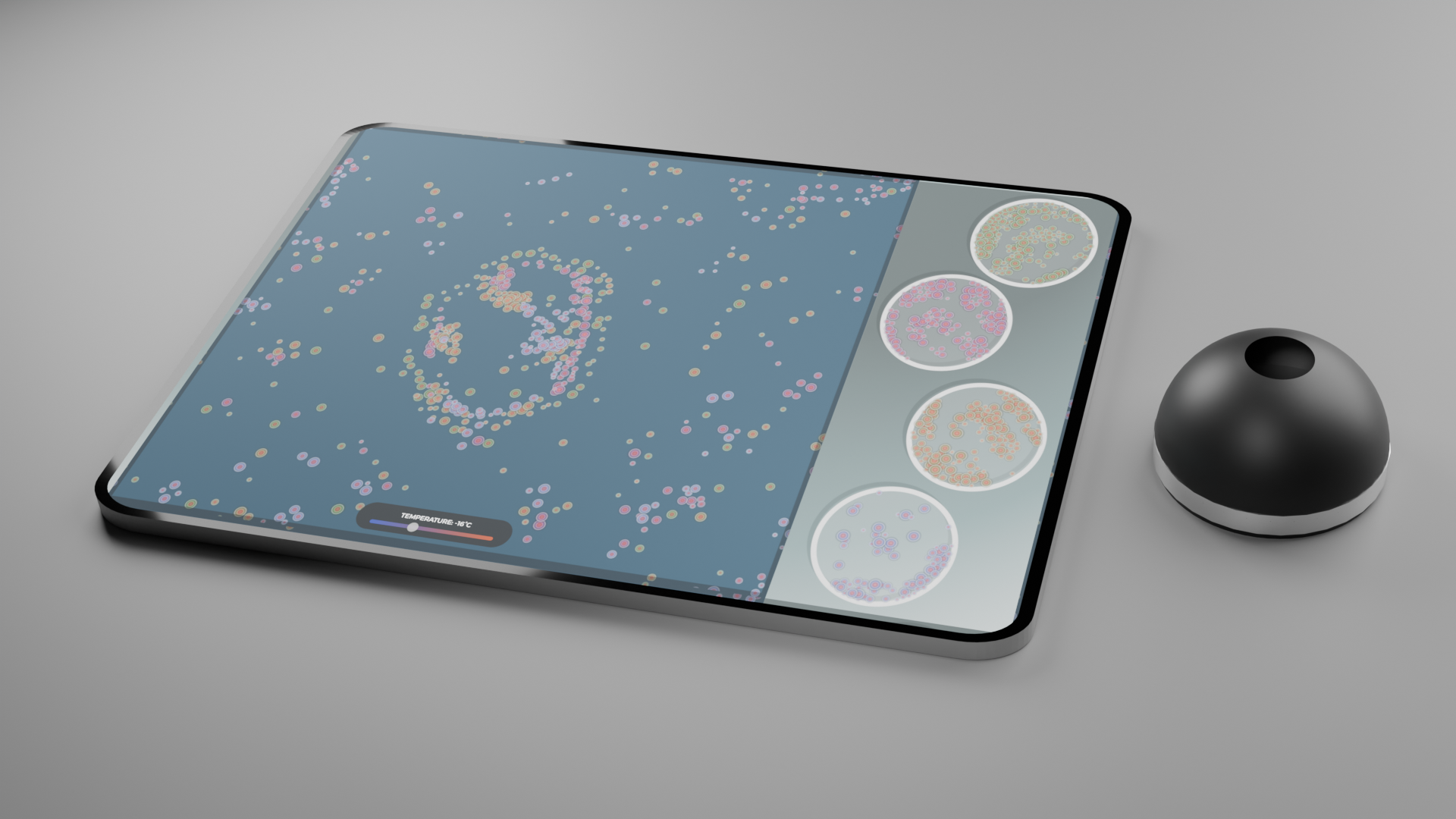 Project Image 1