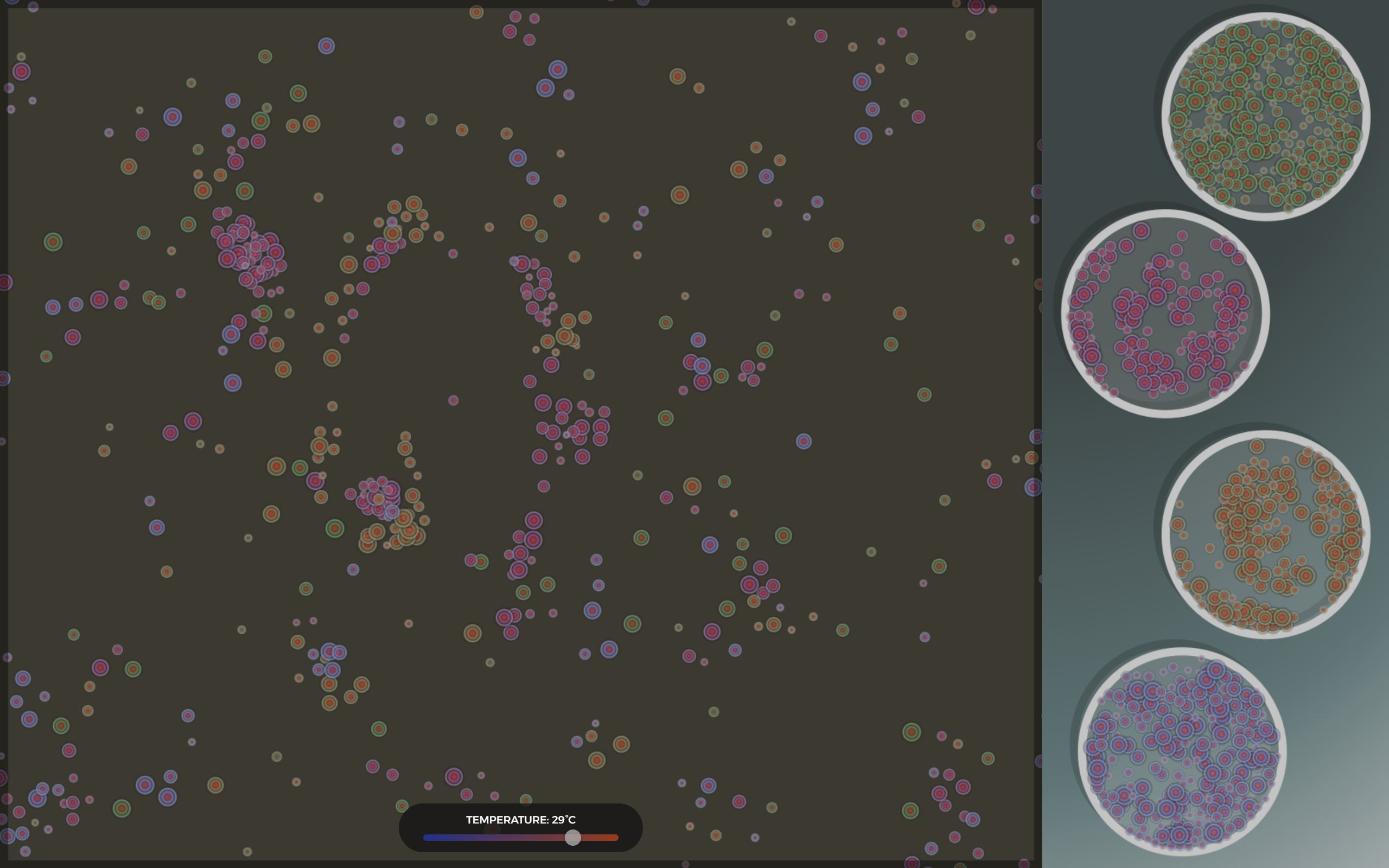 Project Image 1