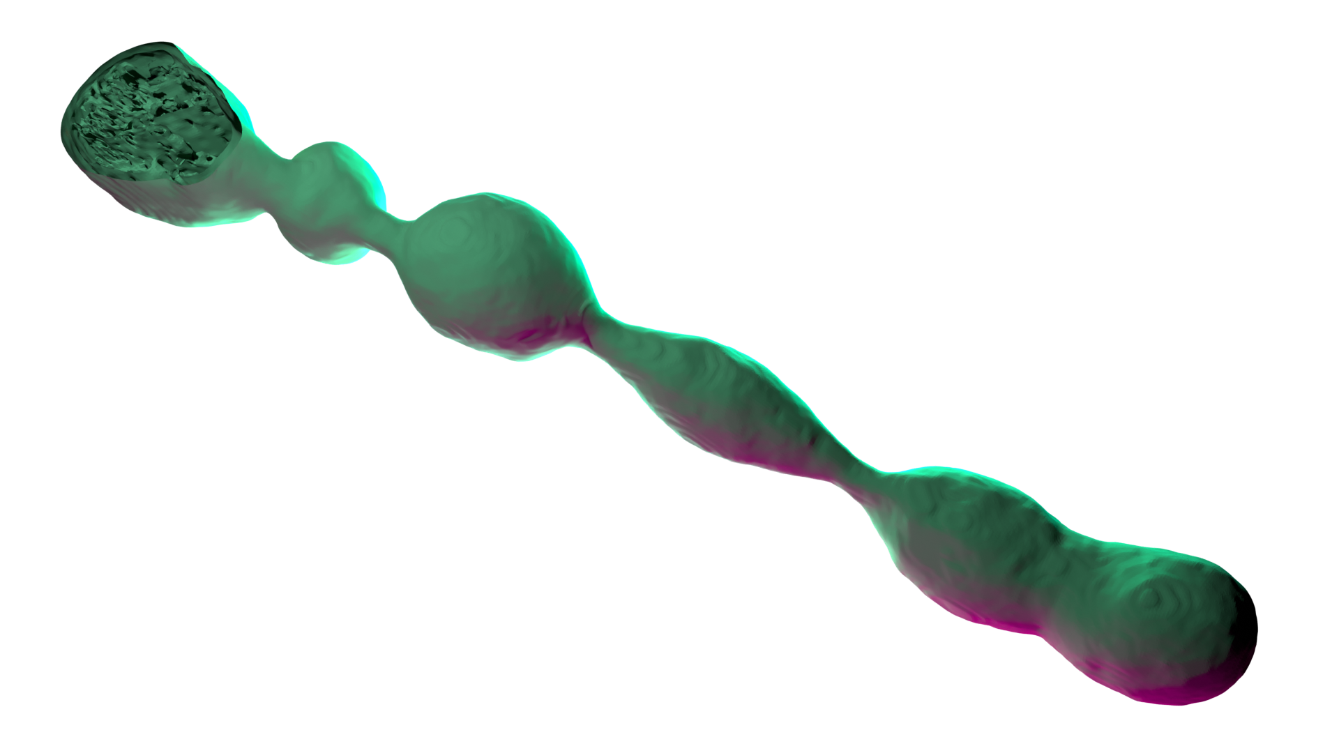Project Image 1